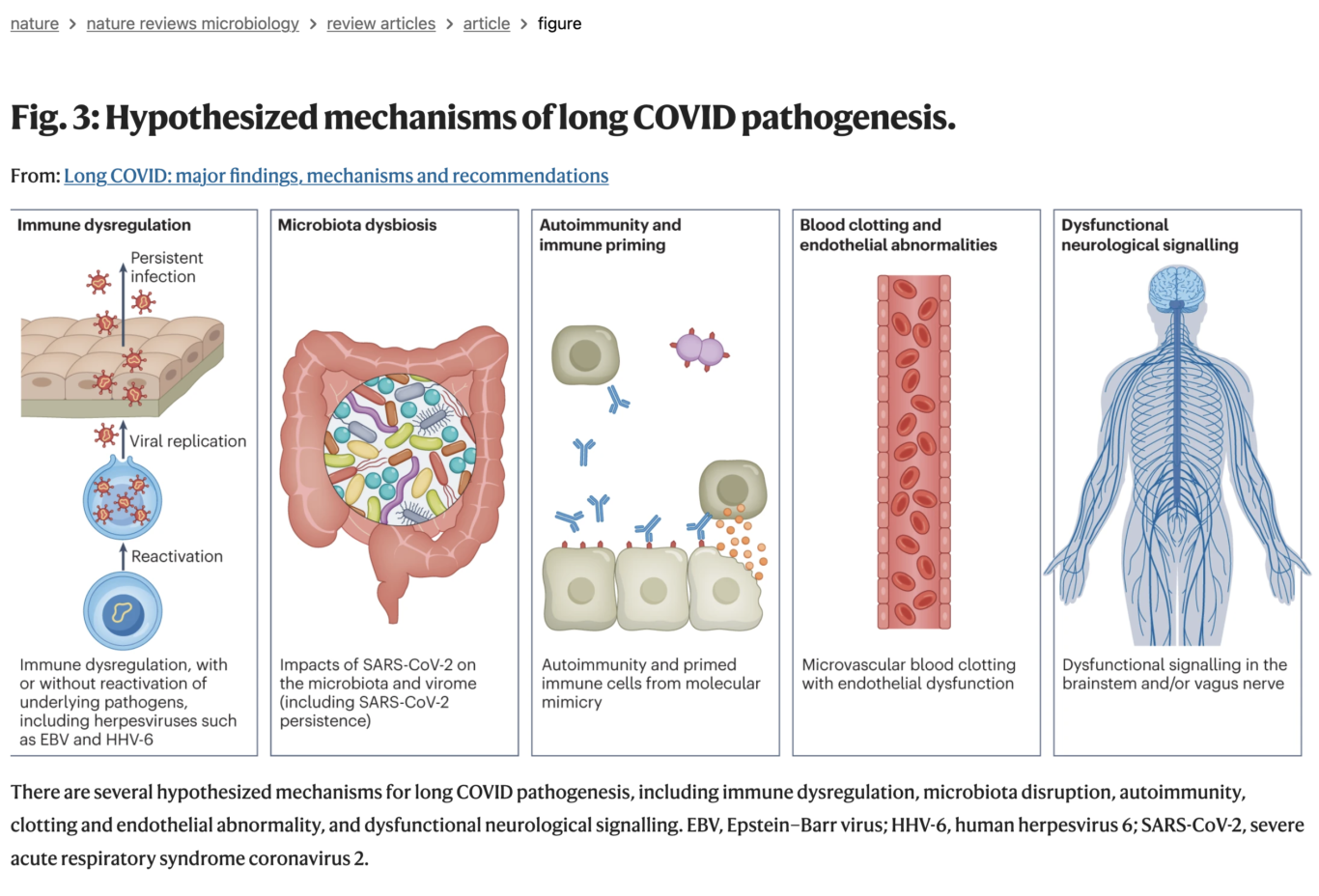 Krachtenbundeling rond Post Acute Infectieuze Syndromen, waaronder